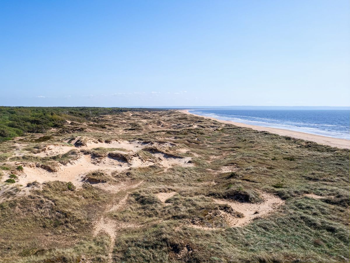 Flygbild över sanddynerna och sandstranden i Gullbranna naturreservat vid Laholmsbukten, söder om Halmstad