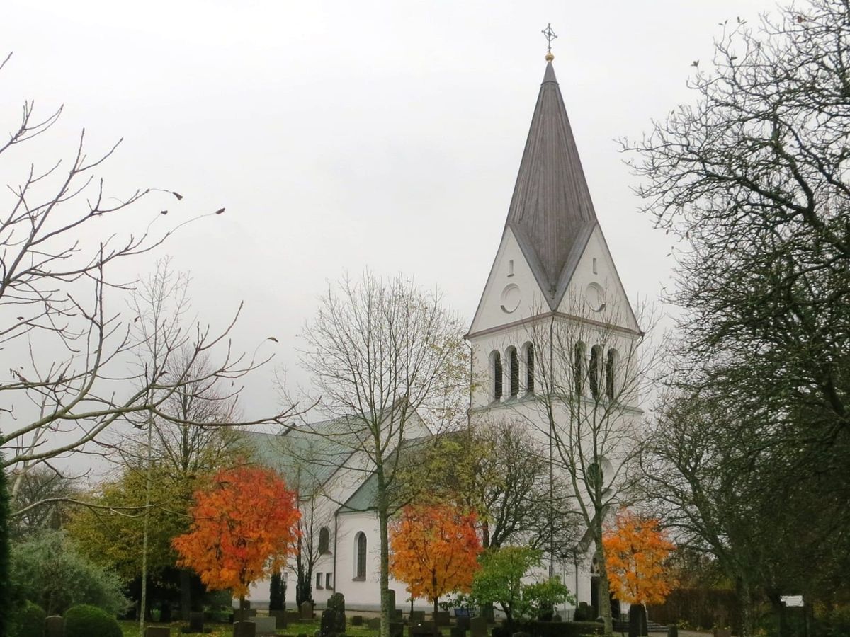 Harplinge kyrka med vitt torn och spetsig spira bakom kyrkogårdens träd i höstfärger