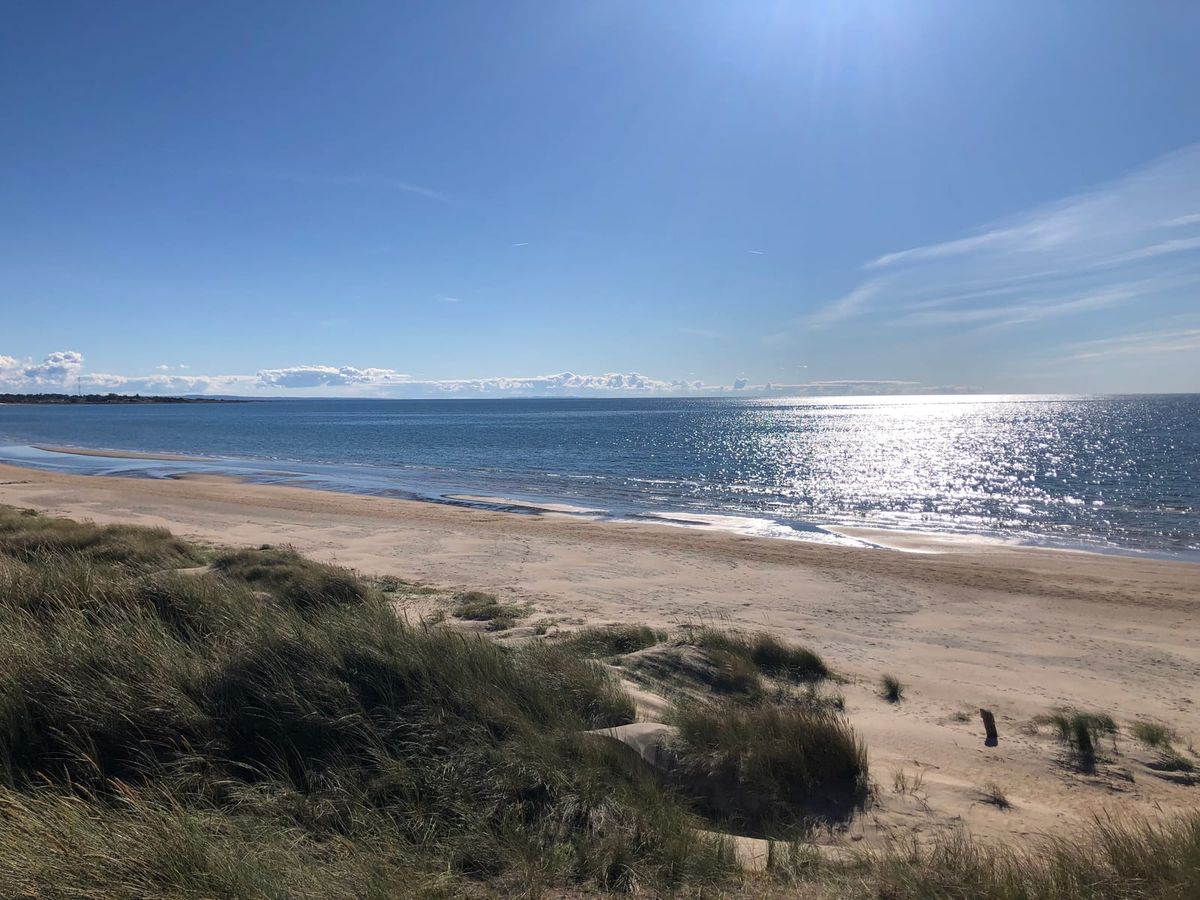 Haverdals breda sandstrand sedd från sanddynerna med sandrör, med solglitter på havet