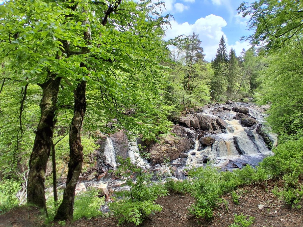 Vattenfallet Danska fall över mörka klippor, inramat av ljusgröna bokblad, strax söder om Simlångsdalen